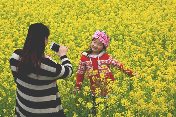 2019年蔡甸区消泗油菜花节是哪一天